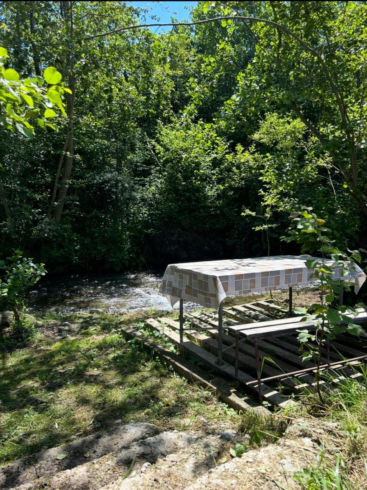 Cottage Bytheriver Arpaşu de Sus Esterno foto